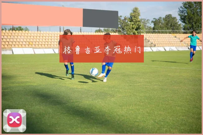 格鲁吉亚夺冠热门