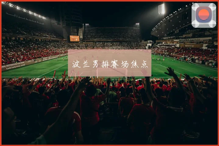 波兰男排赛场焦点