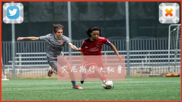 突尼斯对决秘鲁