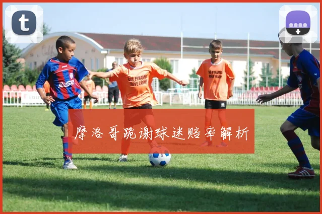 摩洛哥跪谢球迷赔率解析