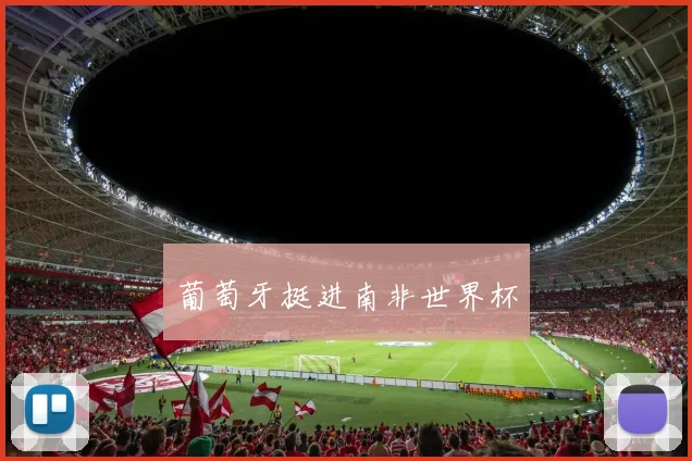葡萄牙挺进南非世界杯
