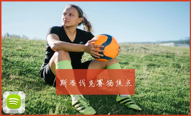 斯洛伐克赛场焦点