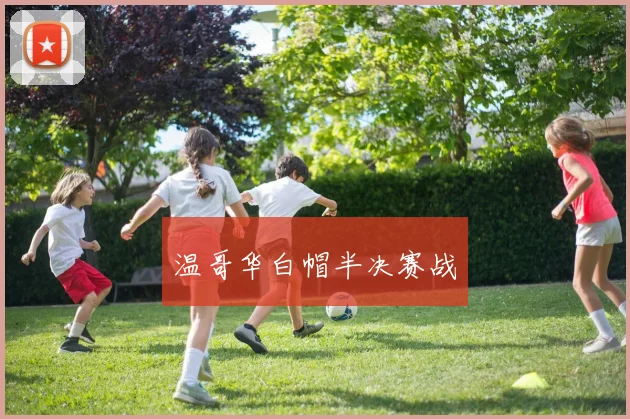 温哥华白帽半决赛战