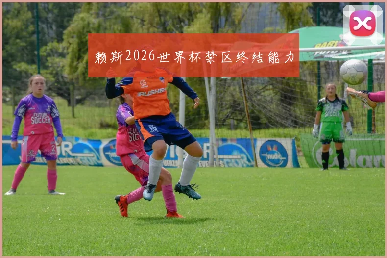 赖斯2026世界杯禁区终结能力
