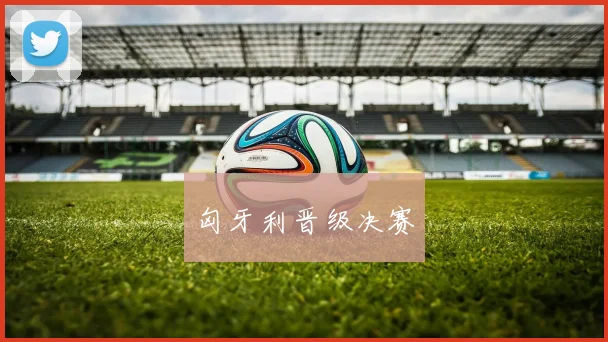 匈牙利晋级决赛