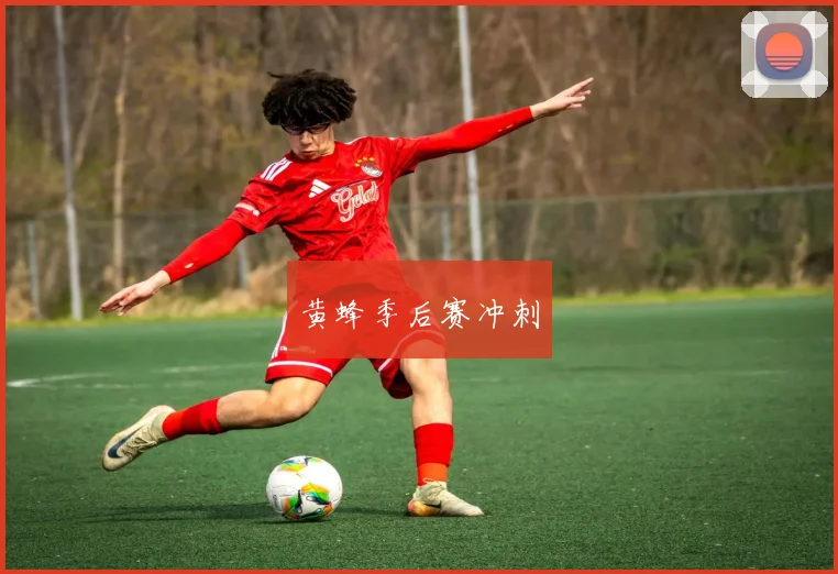 黄蜂季后赛冲刺