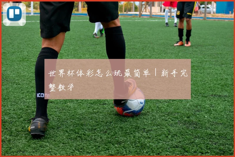 世界杯体彩怎么玩最简单｜新手完整教学