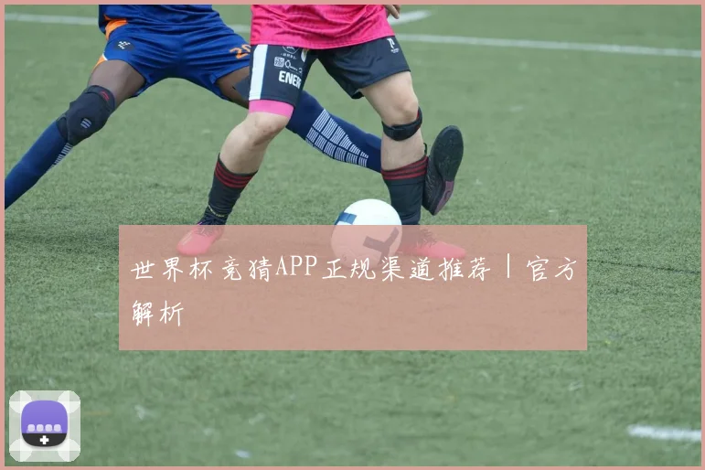 世界杯竞猜APP正规渠道推荐｜官方解析