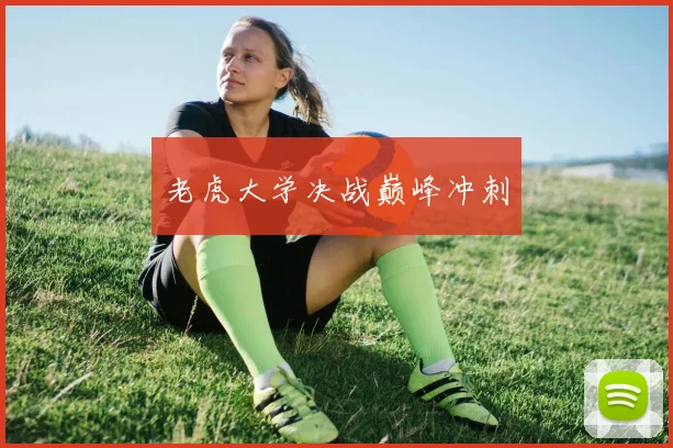 老虎大学决战巅峰冲刺