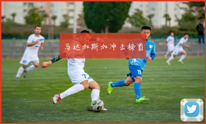 马达加斯加冲击榜首