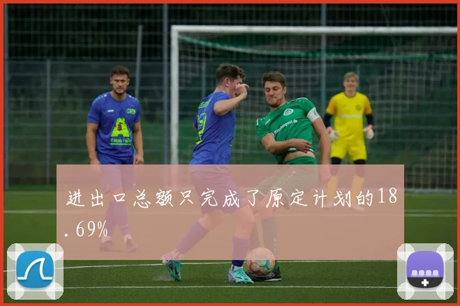 进出口总额只完成了原定计划的18.69%