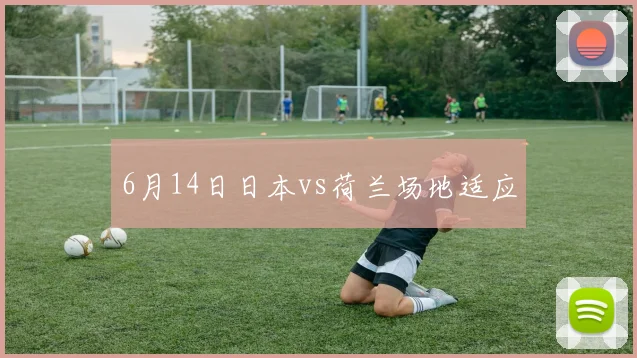 6月14日日本vs荷兰场地适应