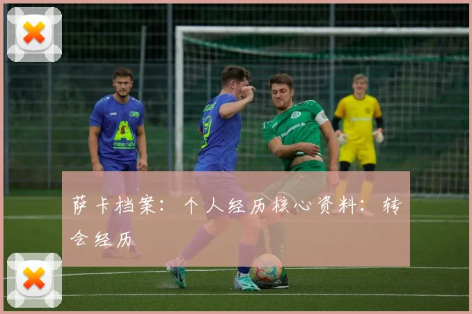 萨卡档案：个人经历核心资料：转会经历