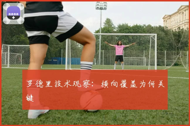 罗德里技术观察：横向覆盖为何关键