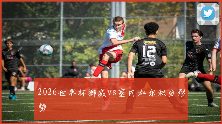 2026世界杯挪威vs塞内加尔积分形势