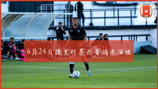6月24日捷克对墨西哥战术演练