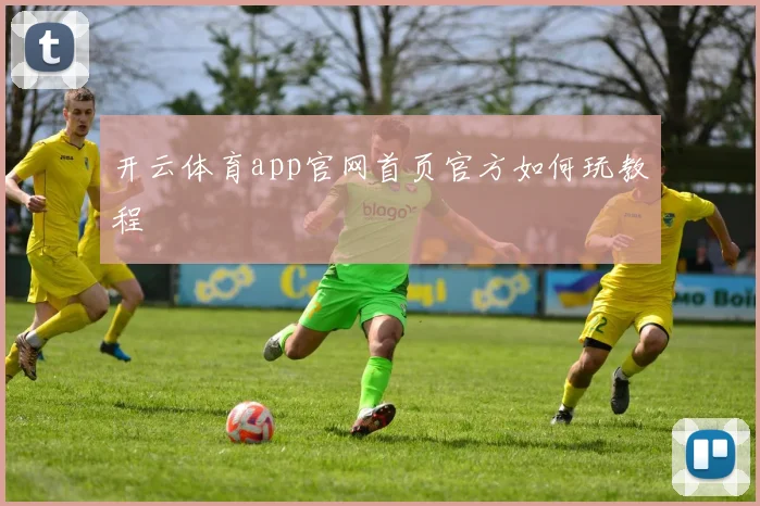 开云体育app官网首页官方如何玩教程