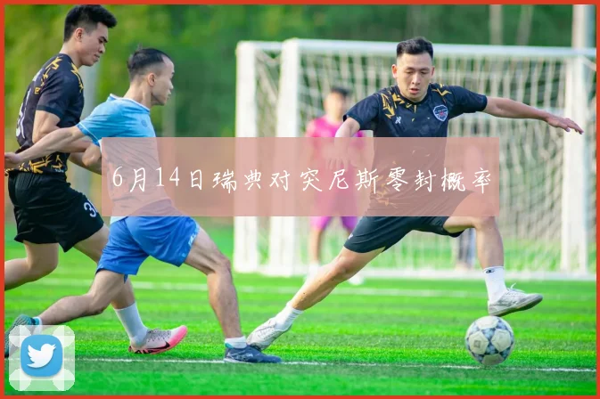 6月14日瑞典对突尼斯零封概率